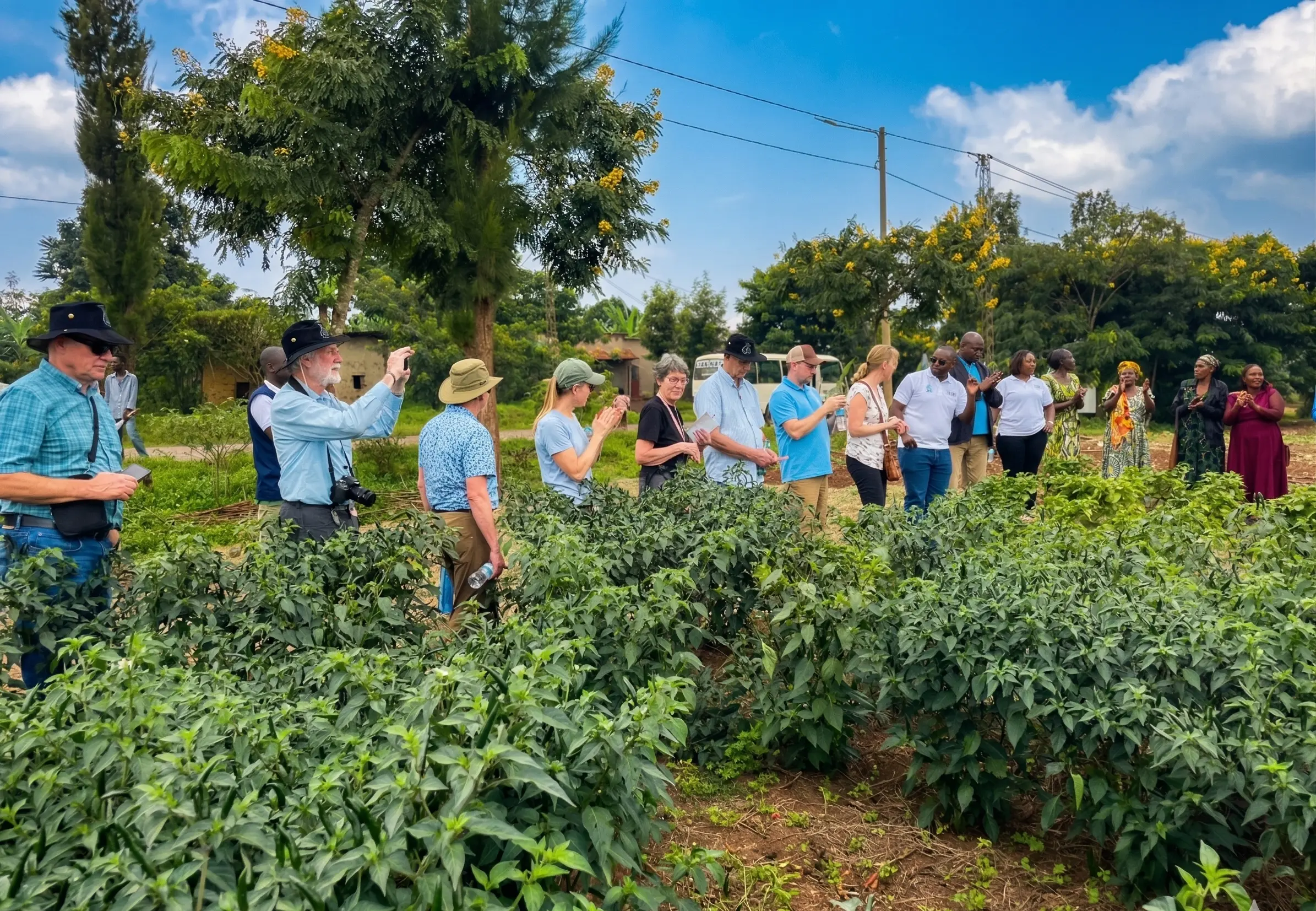 Farmer Field School