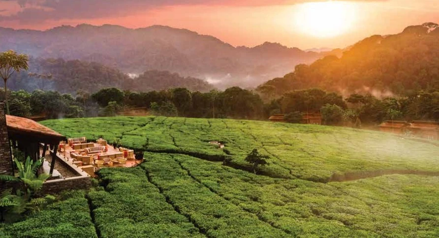 Rwanda Landscape